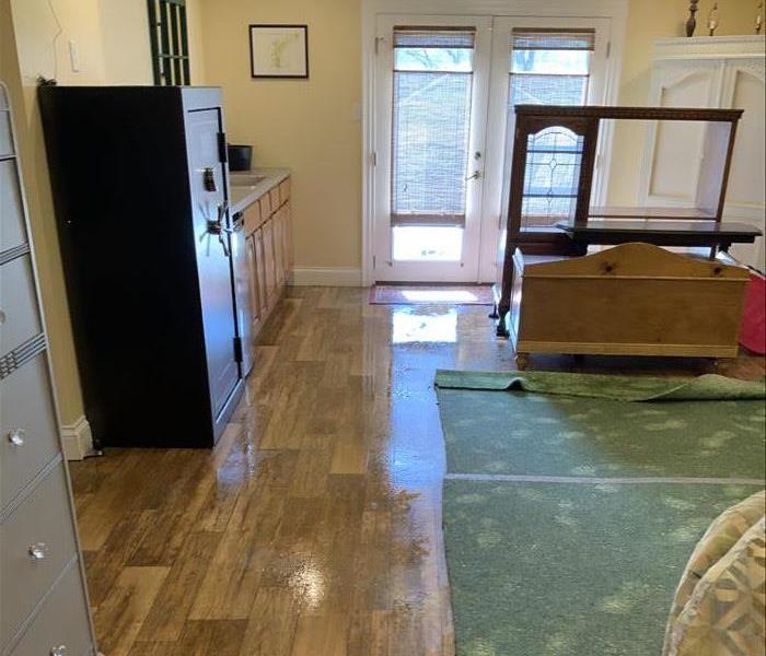 water on hardwood floor, double doors