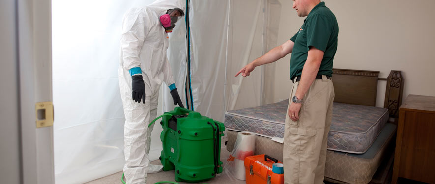 Fort Pierce North, FL mold removal process